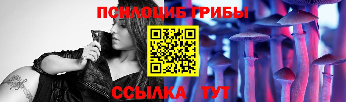 Псилоцибиновые грибы мухоморы Томск